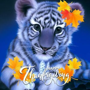 Meet your Posher, Larry